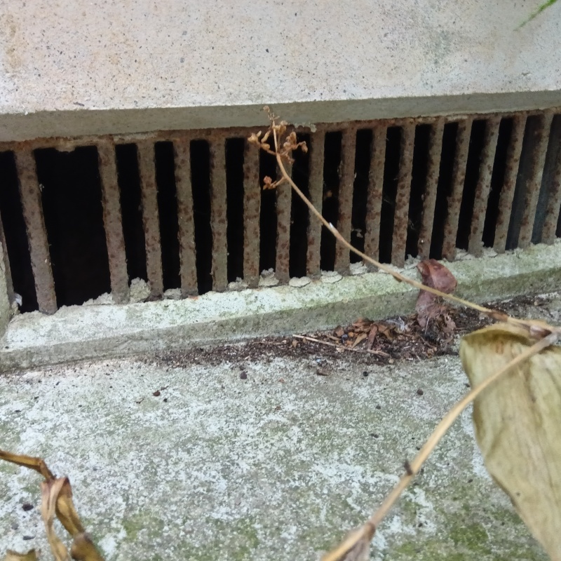 侵入口になっていた床下換気口