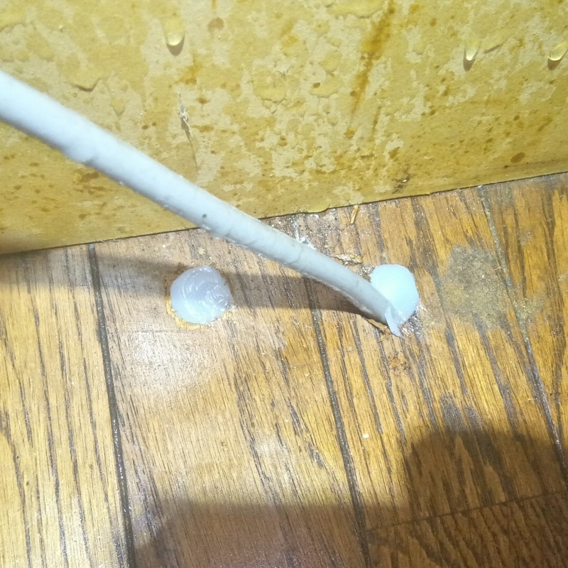 侵入口になっていた穴を封鎖