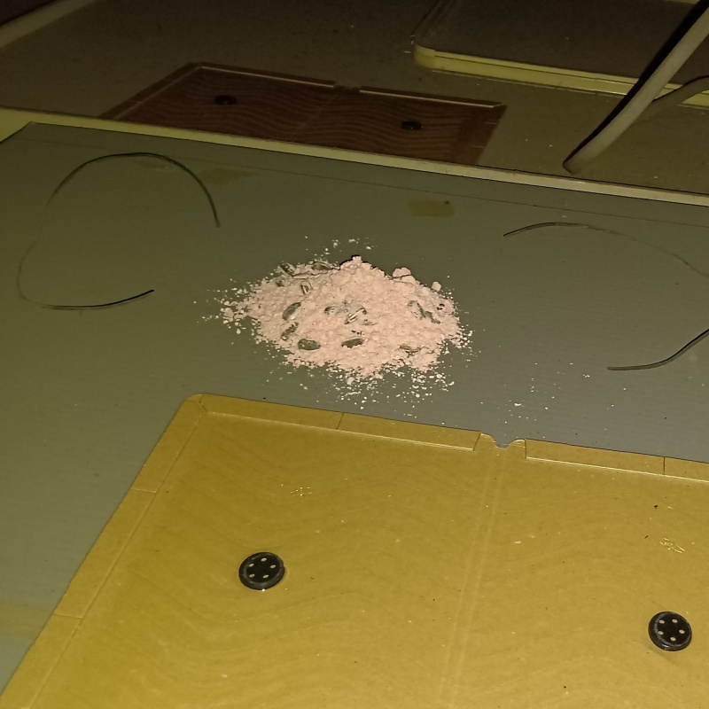 殺鼠剤を仕掛けている様子