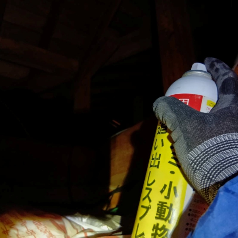 天井裏に忌避剤を散布