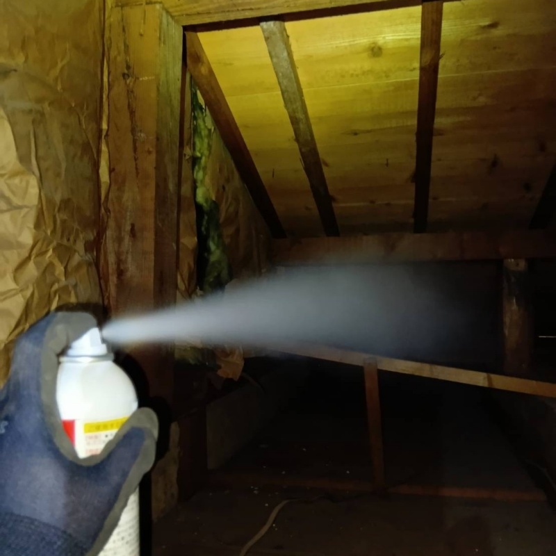 屋根裏に忌避剤をスプレー