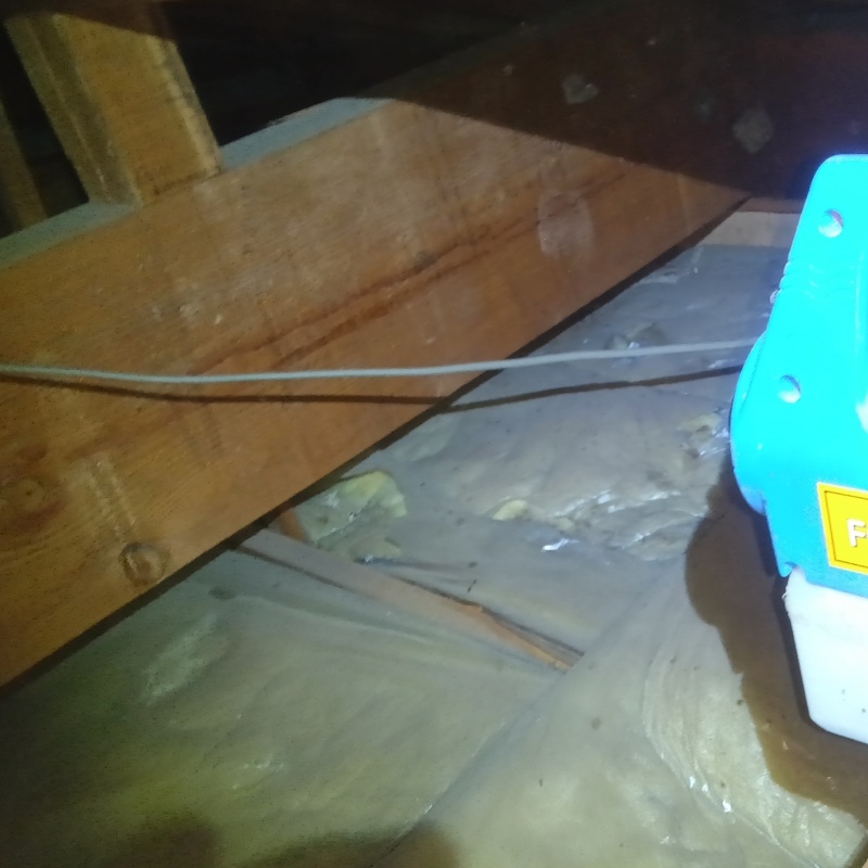 屋根裏に除菌剤を散布