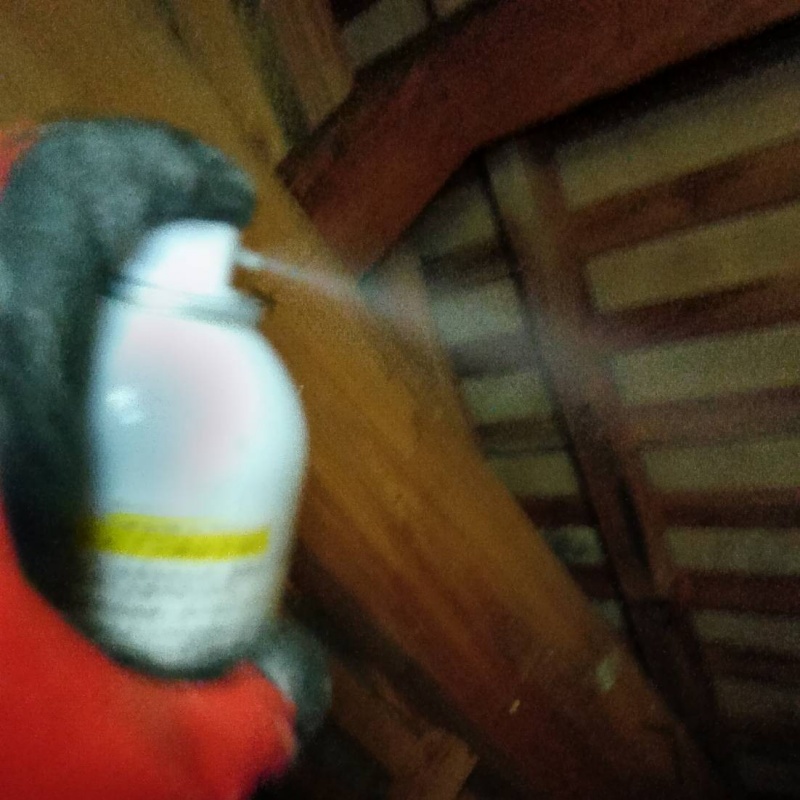 天井裏に忌避剤を散布