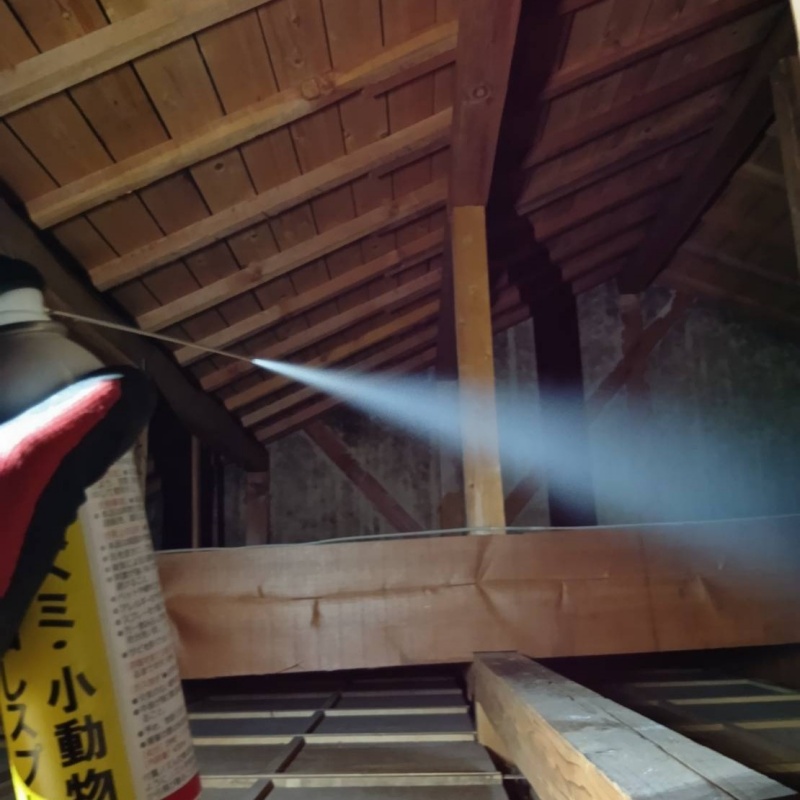 屋根裏に忌避剤をスプレー