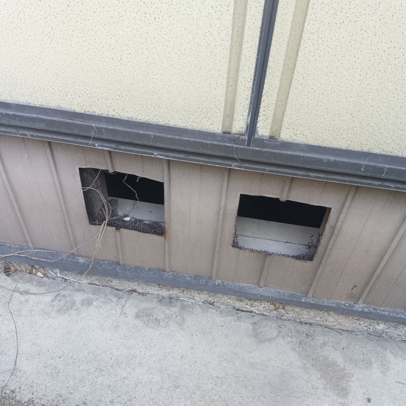 ネズミ駆除の施工事例（愛知県名古屋市中川区野田）