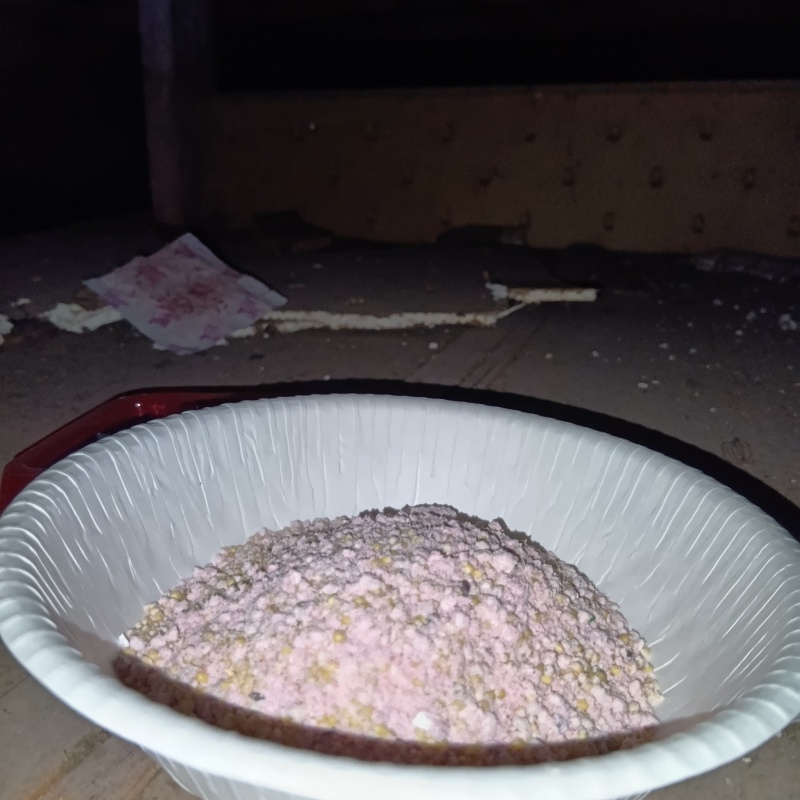 殺鼠剤を仕掛けている様子