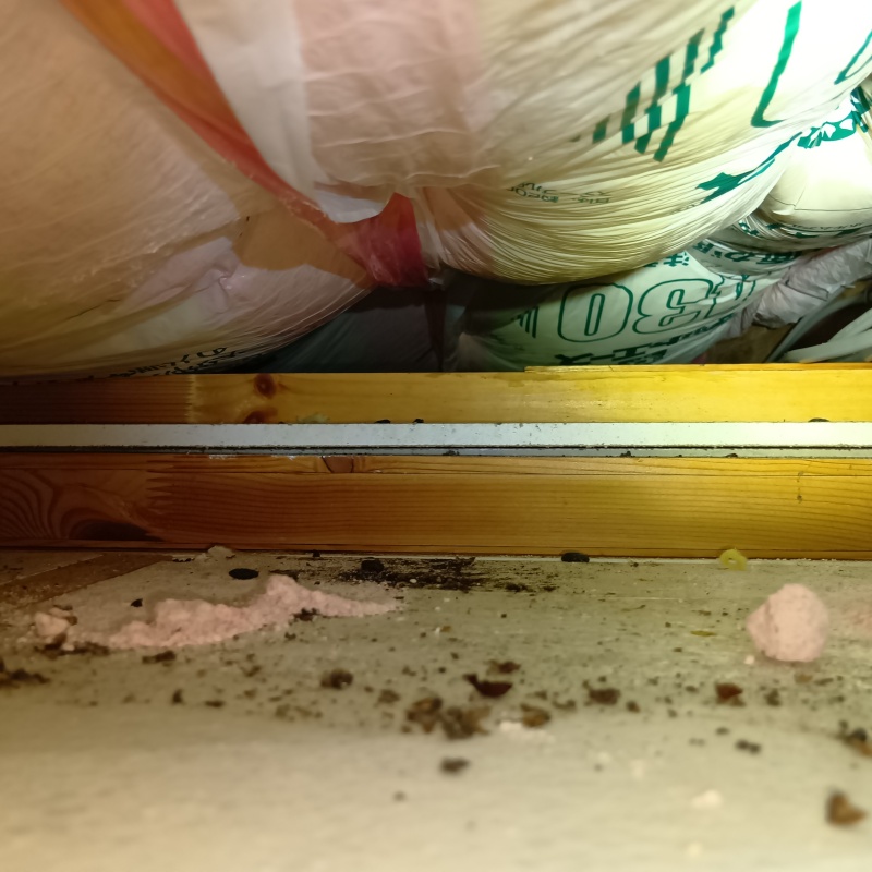 ネズミが殺鼠剤を食べたあと