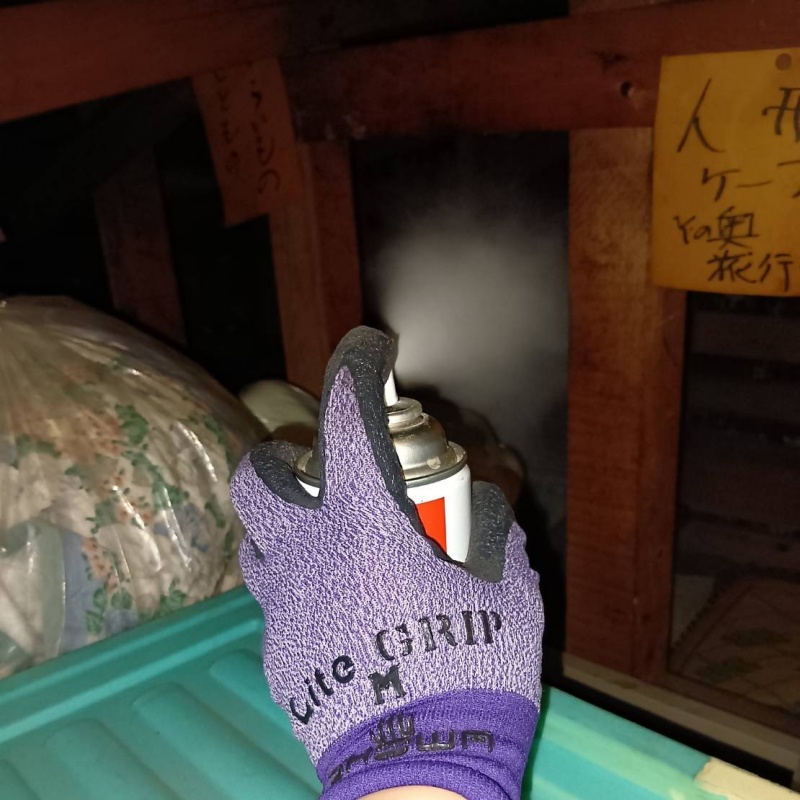 天井裏に殺虫剤を散布