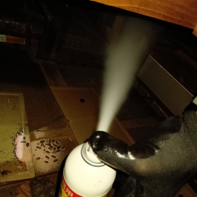 忌避剤を吹き付けている様子
