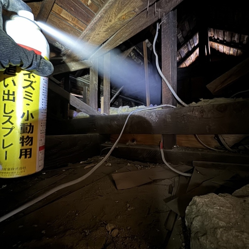 屋根裏に忌避剤をスプレー