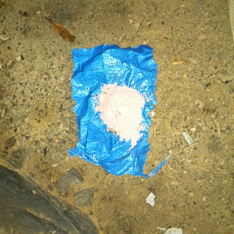 殺鼠剤を設置