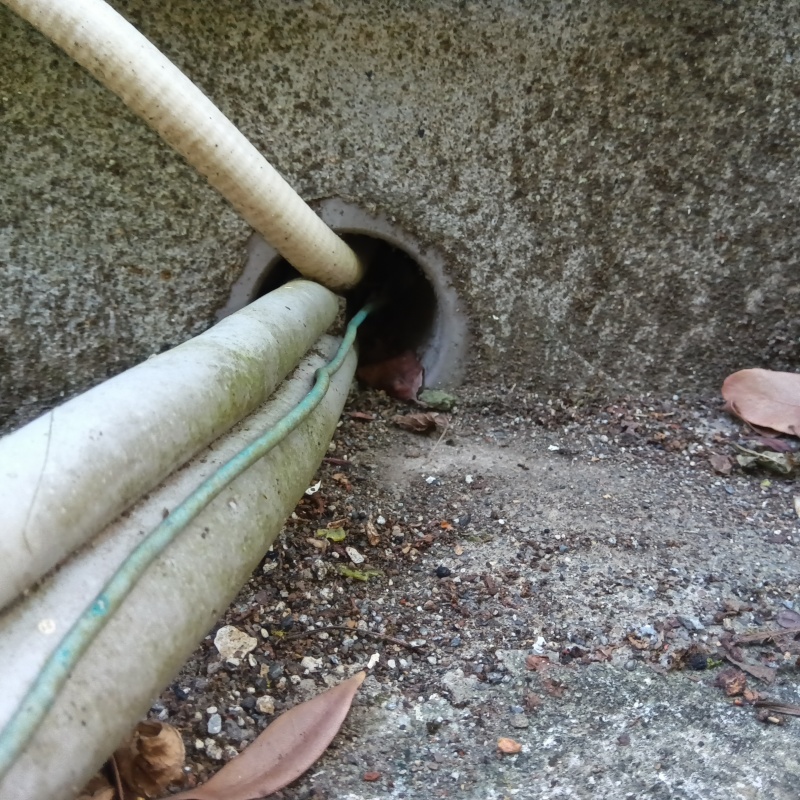 ネズミ駆除の施工事例（静岡県富士市柚木）