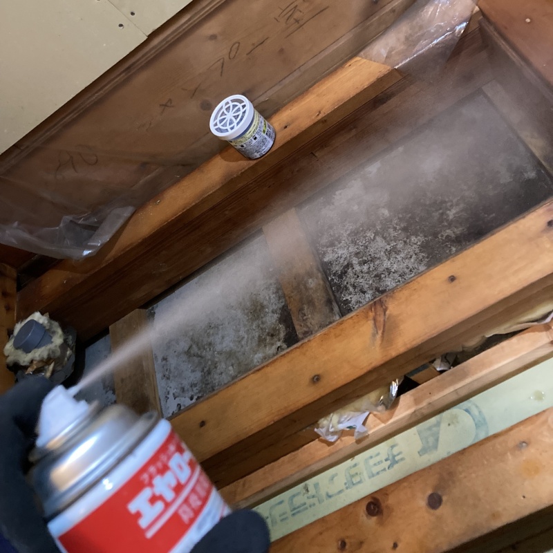 殺虫剤をスプレー