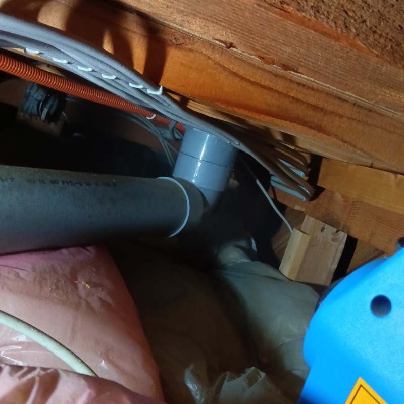 噴霧器で殺虫剤を散布