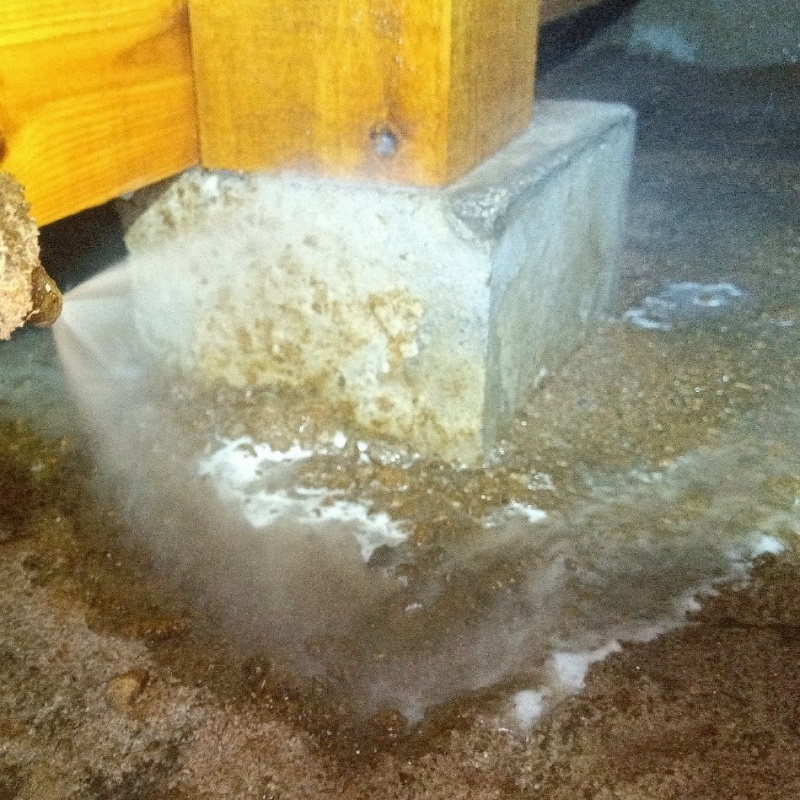床下の土壌にシロアリ駆除剤を散布する様子