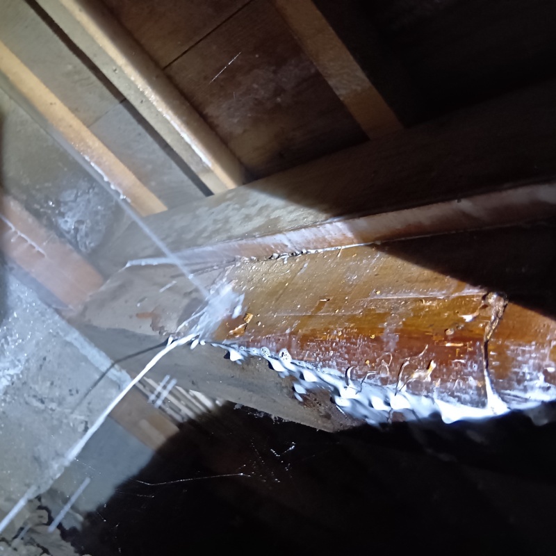 床下の木材にシロアリ駆除剤を散布する様子