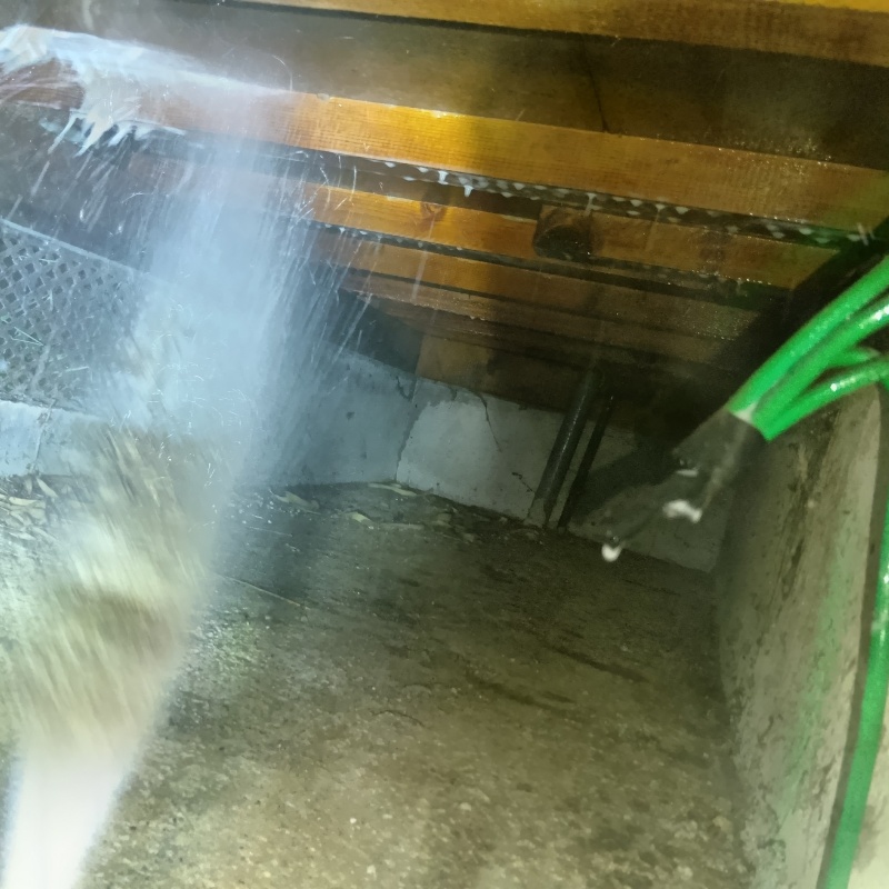 床下の木材にシロアリ駆除剤を散布する様子
