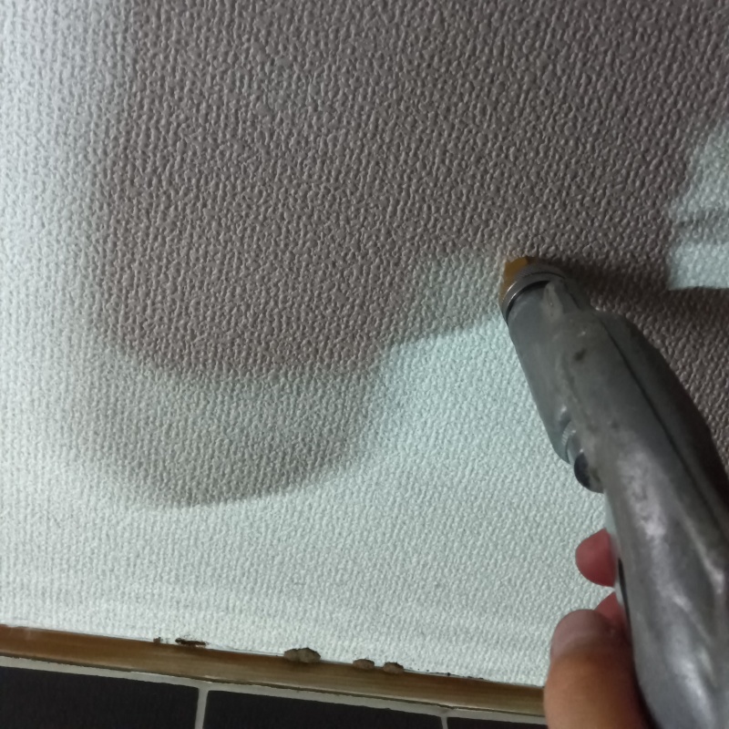 トイレの壁にシロアリ駆除剤を注入する様子