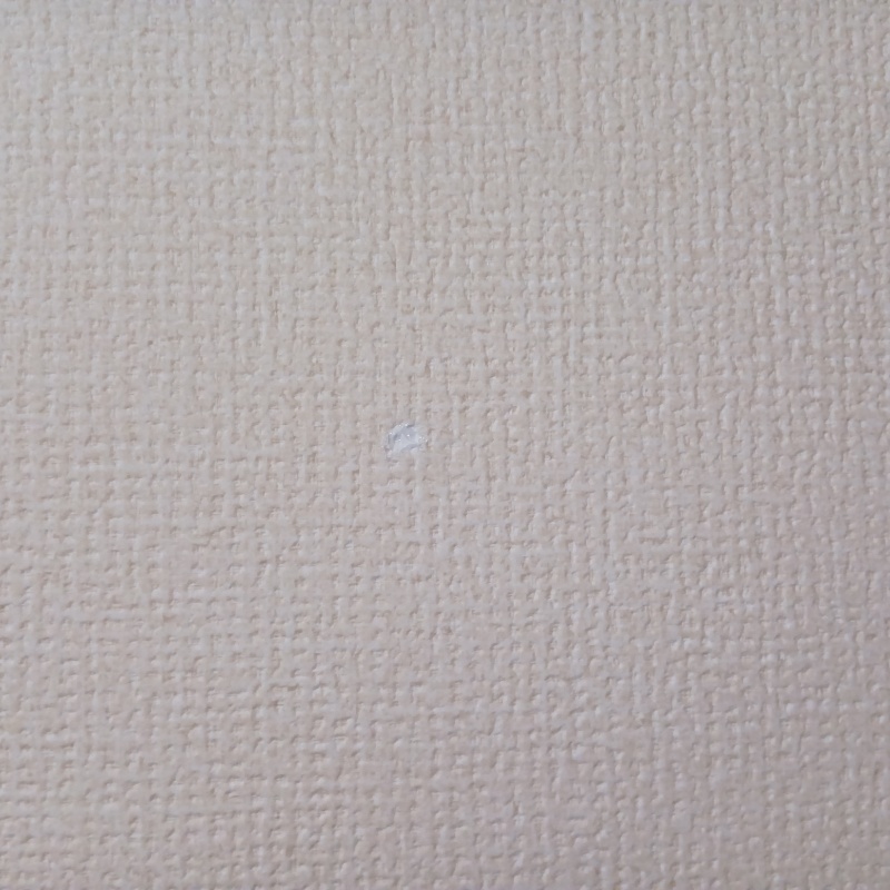 穿孔処理の穴をふさいだ様子