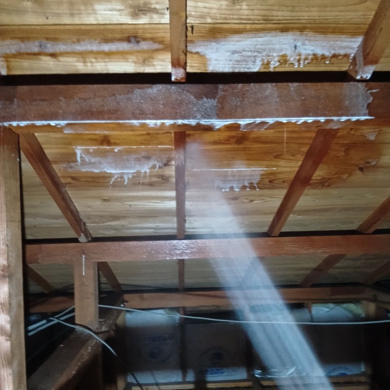 屋根裏の木材にシロアリ駆除剤を散布する様子