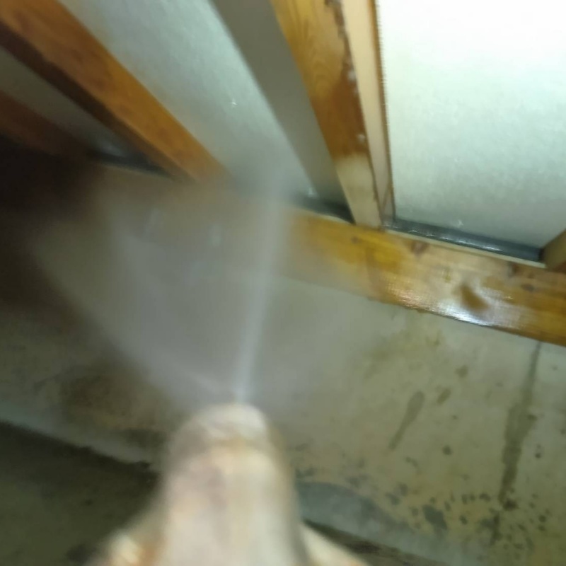 床下の木材にシロアリ駆除剤を散布する様子