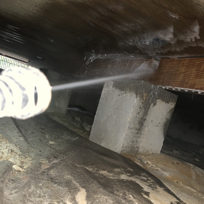床下の木材にシロアリ駆除剤を散布する様子