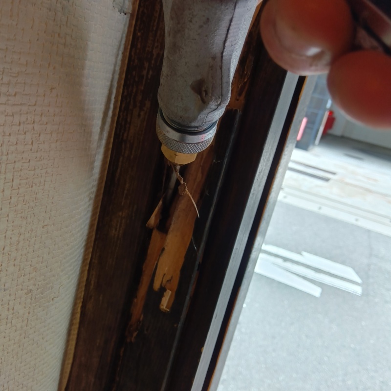 食害を受けた木材にシロアリ駆除剤を注入する様子