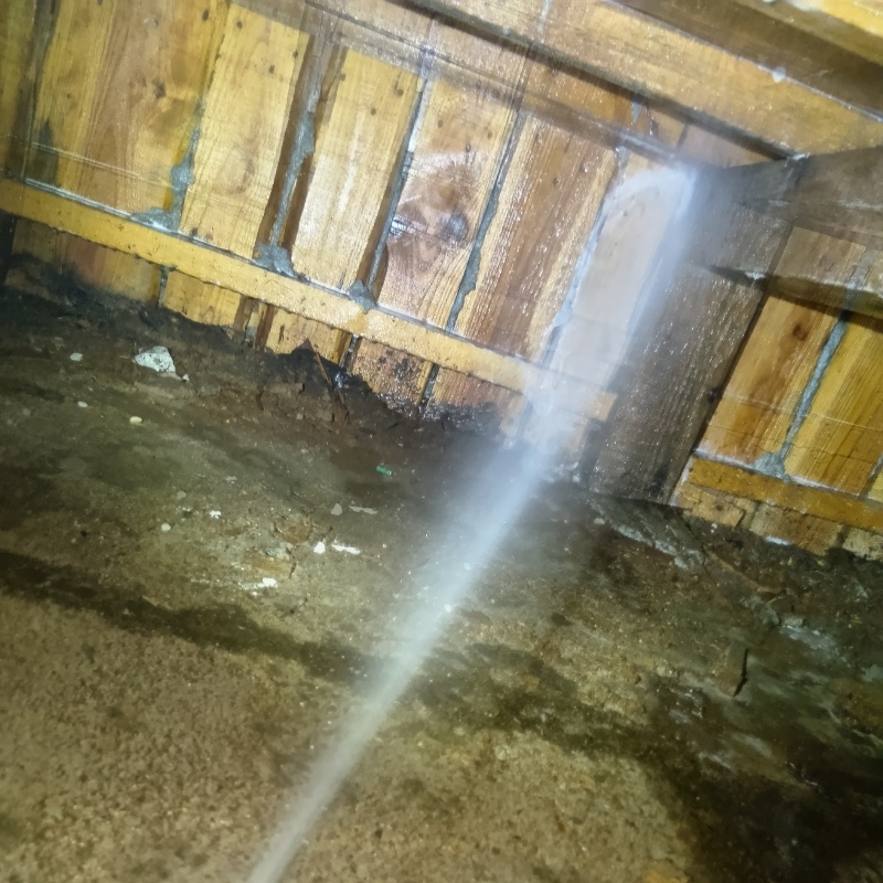 床下の木部にシロアリ駆除剤を散布