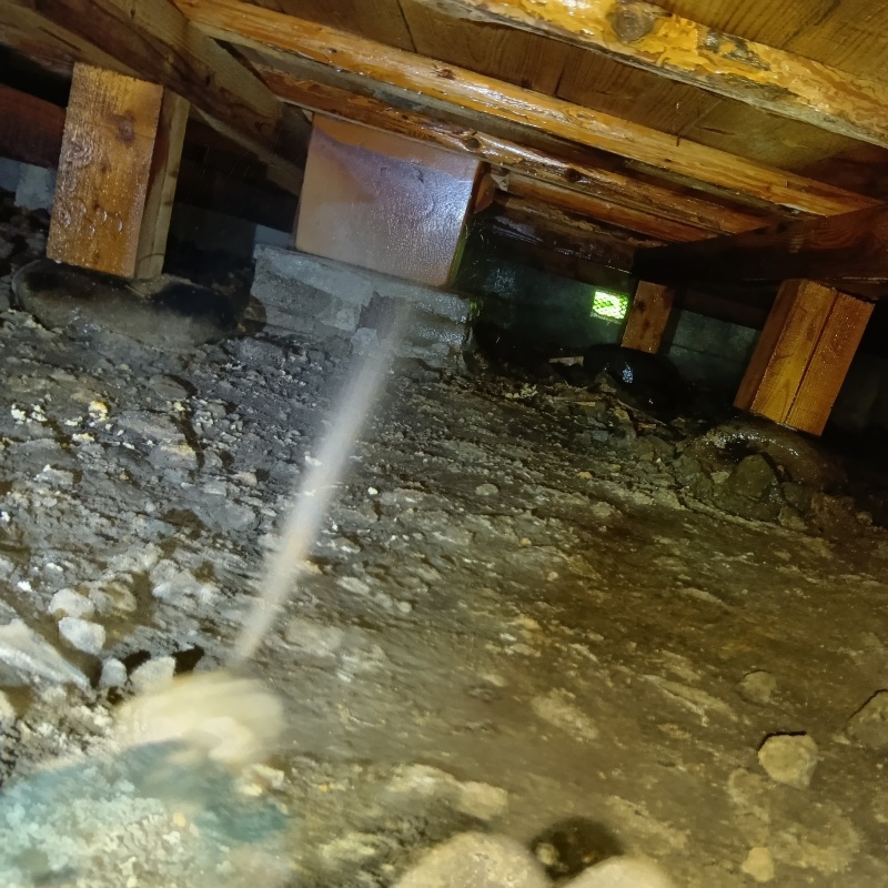 床下の基礎部分にシロアリ駆除剤を散布する様子