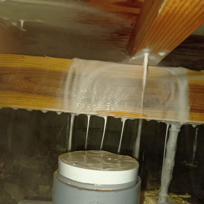 床下の木材にシロアリ駆除剤を散布する様子