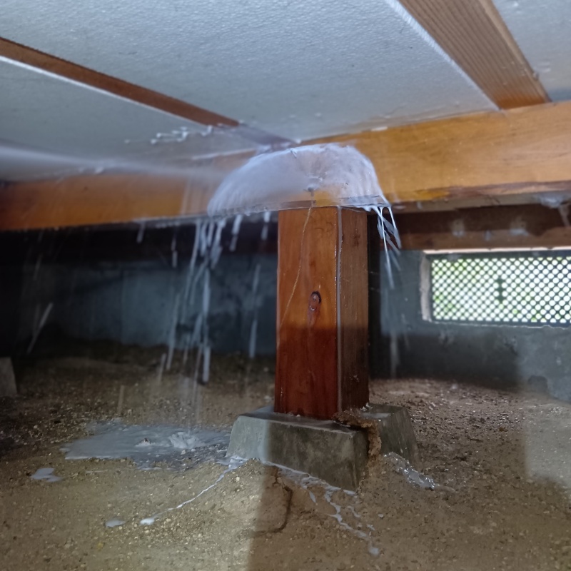 床下の木材にシロアリ駆除剤を散布する様子