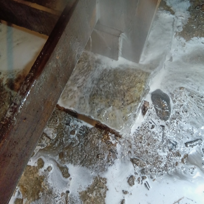 床下の土壌にシロアリ駆除剤を散布する様子