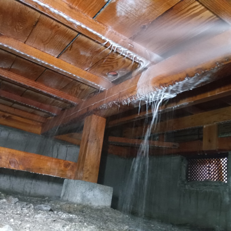 床下の木材にシロアリ駆除剤を散布する様子