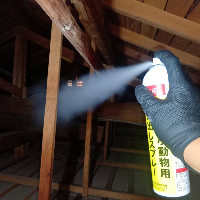 屋根裏に忌避剤をスプレー