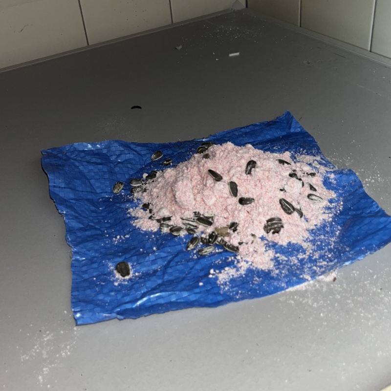 床下に殺鼠剤を設置