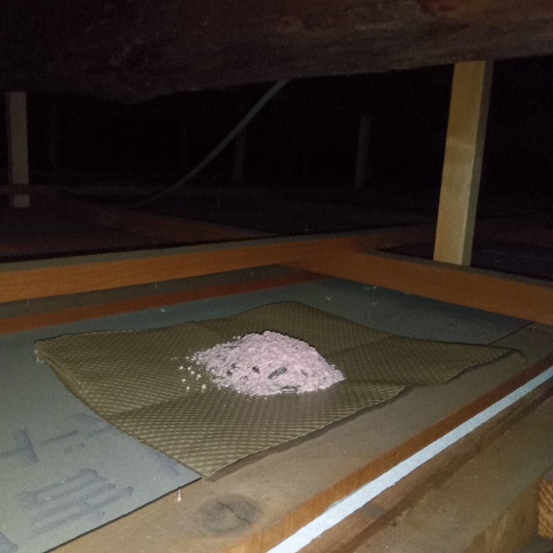 屋根裏に殺鼠剤を設置