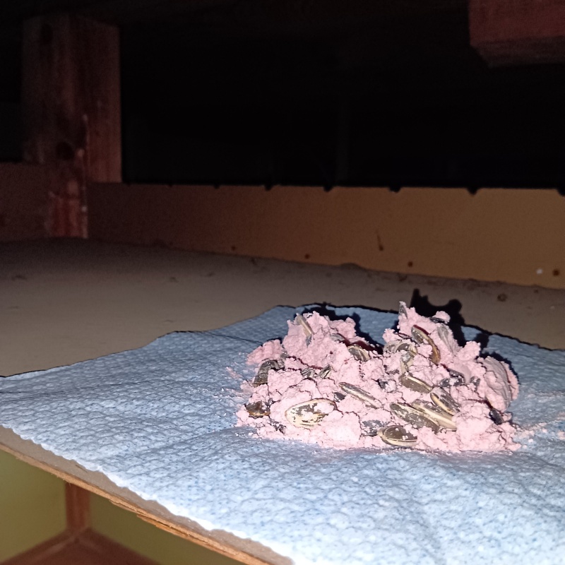 屋根裏に殺鼠剤を設置
