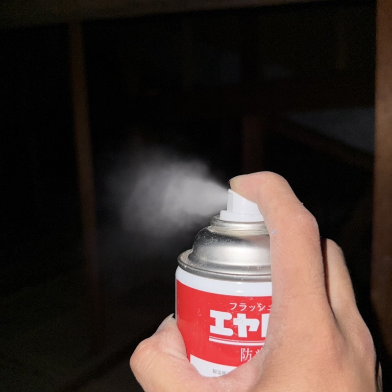 屋根裏に殺虫剤をスプレー