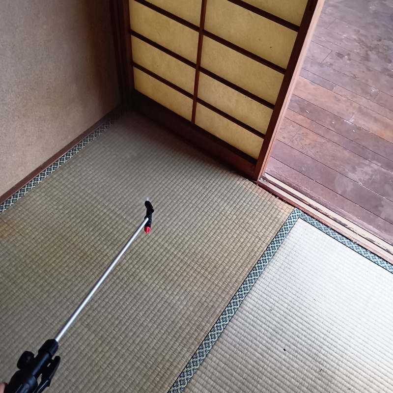 アライグマ駆除の施工事例（東京都世田谷区経堂）
