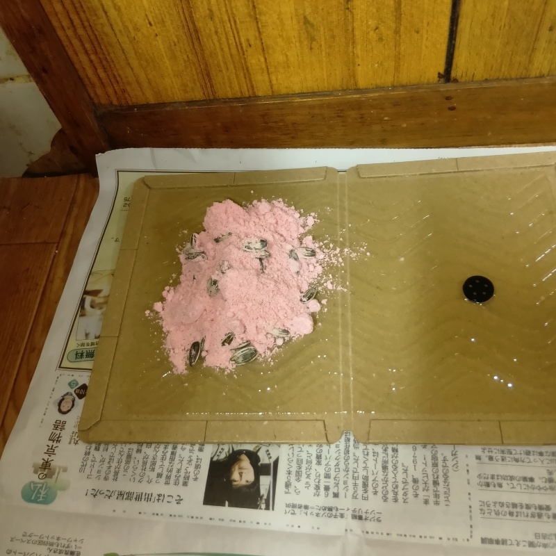 粘着シートの上に殺鼠剤を設置