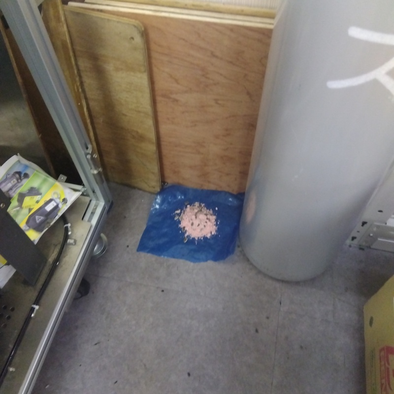 ネズミ駆除の施工事例（東京都杉並区）