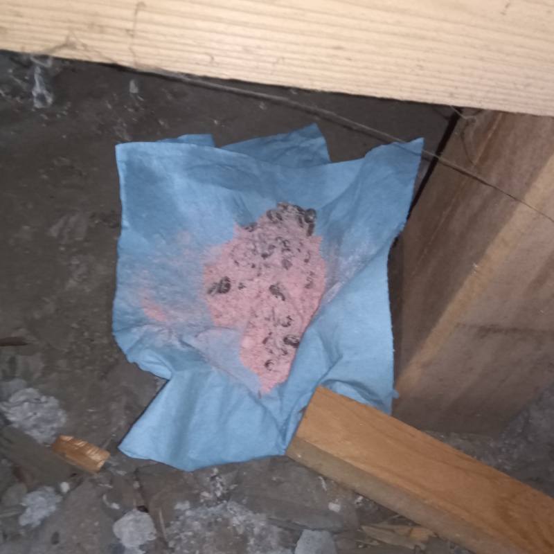 床下に殺鼠剤を設置
