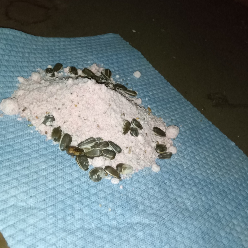 殺鼠剤を設置
