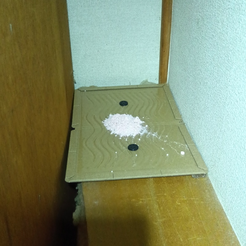 壁際に粘着シートを設置