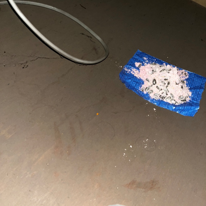 殺鼠剤を設置