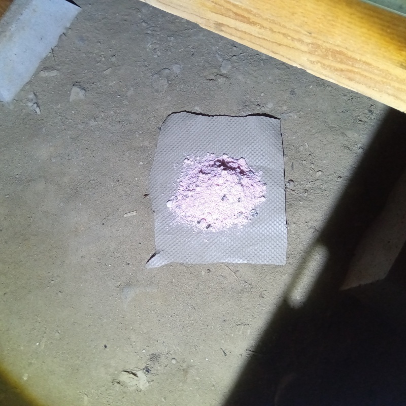 床下に殺鼠剤を設置