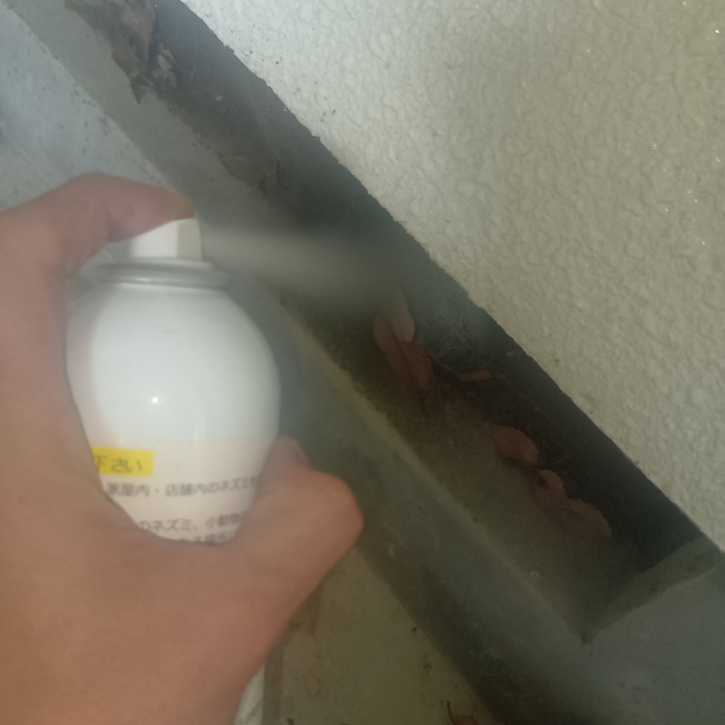 忌避剤をスプレー