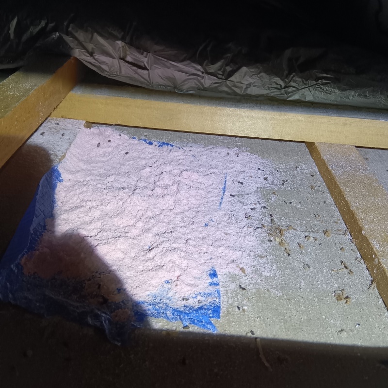 ネズミが殺鼠剤を食べたあと