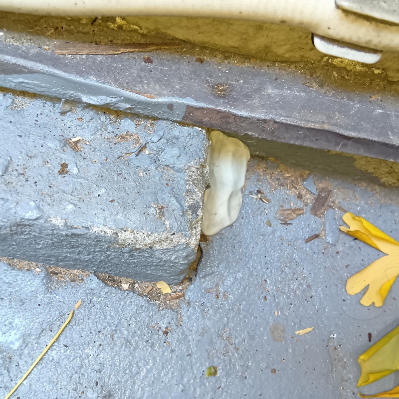 地面のすき間をパテで封鎖