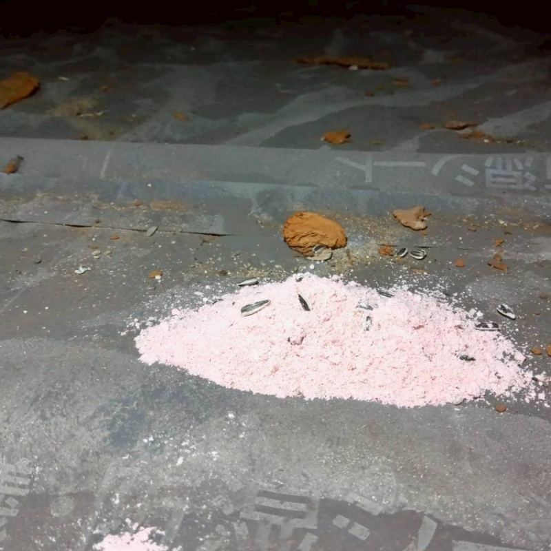 殺鼠剤を設置